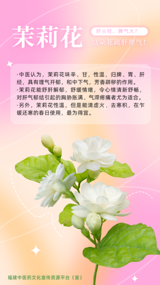 68098bb5beffae49ffe8080b37614088.png