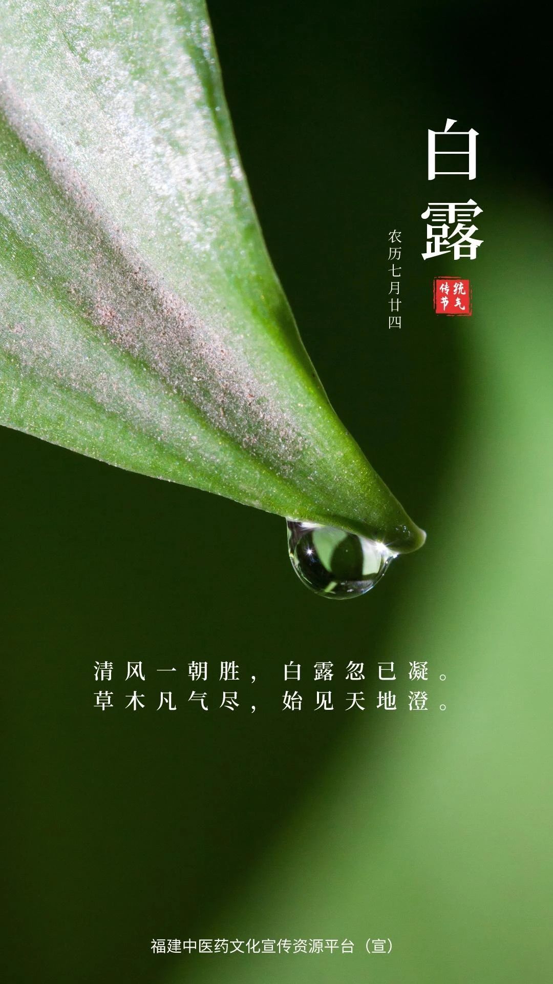 909d39e935570fb011e55fe82c5c1e1e.jpg